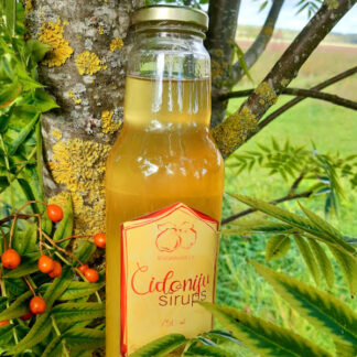 alt="Cidoniju sīrups -  vitamīniem bagāts produkts"