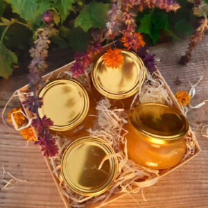 alt="komplekts "Medulāji""