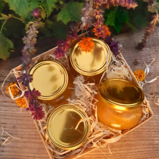 alt="komplekts "Medulāji""