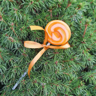 alt="Cidoniju karamele uz kociņa"