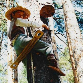 alt="Bišu kāpšana" ar dzeini