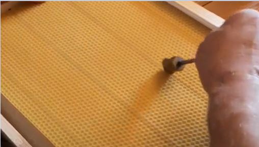 alt="Kāres iestiepļošana ar ritenīti"